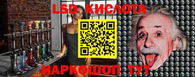 ешки Новозыбков