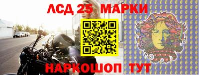 ешки Новозыбков