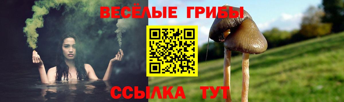 закладка  Псилоцибиновые грибы Psilocybe  Вход с VPN  Среднеуральск 